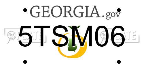 5TSM06 Georgia License Plate
