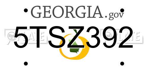 5TSZ392 Georgia License Plate