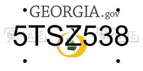 5TSZ538 Georgia License Plate