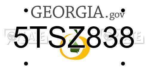 5TSZ838 Georgia License Plate