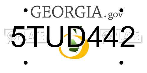 5TUD442 Georgia License Plate