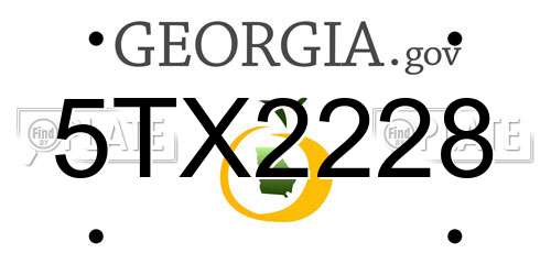 5TX2228 Georgia License Plate