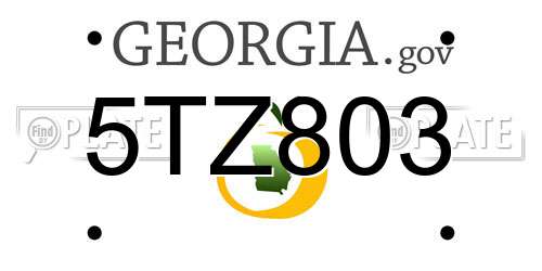 5TZ803 Georgia License Plate