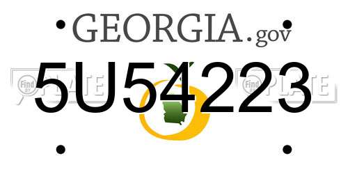 5U54223 Georgia License Plate