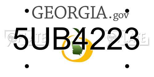 5UB4223 Georgia License Plate