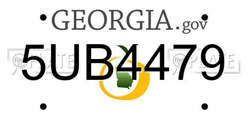 5UB4479 Georgia License Plate
