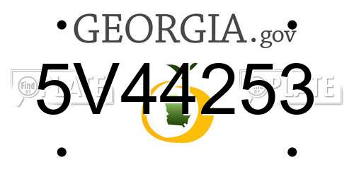 5V44253 Georgia License Plate