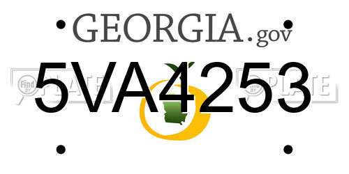 5VA4253 Georgia License Plate