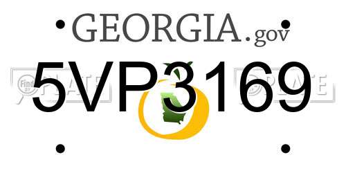 5VP3169 Georgia License Plate