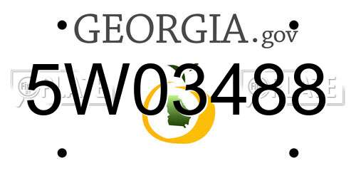 5W03488 Georgia License Plate
