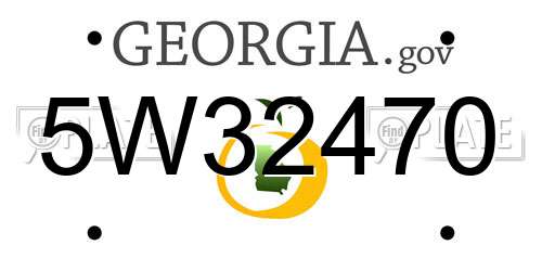 5W32470 Georgia License Plate
