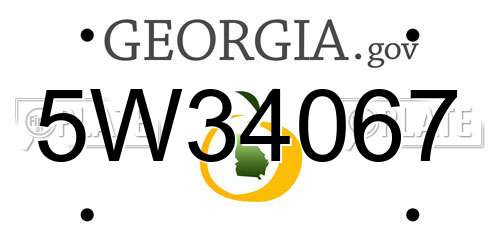 5W34067 Georgia License Plate