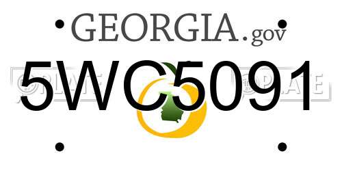 5WC5091 Georgia License Plate