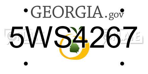 5WS4267 Georgia License Plate