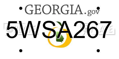 5WSA267 Georgia License Plate