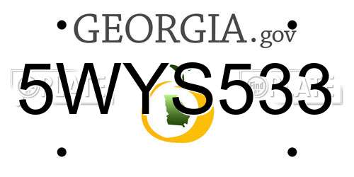 5WYS533 Georgia License Plate