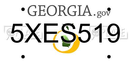 5XES519 Georgia License Plate