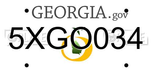 5XGO034 Georgia License Plate
