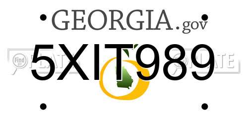 5XIT989 Georgia License Plate