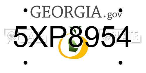 5XP8954 Georgia License Plate