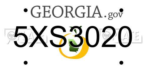 5XS3020 Georgia License Plate