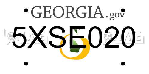 5XSE020 Georgia License Plate