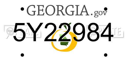 5Y22984 Georgia License Plate