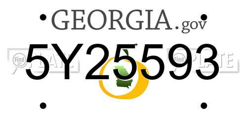 5Y25593 Georgia License Plate