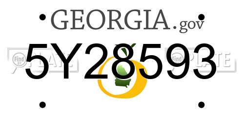 5Y28593 Georgia License Plate