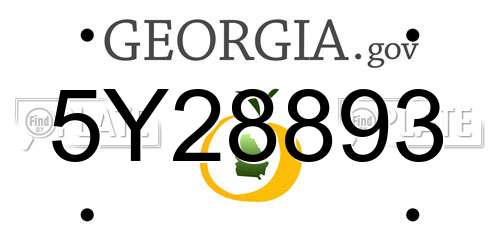 5Y28893 Georgia License Plate
