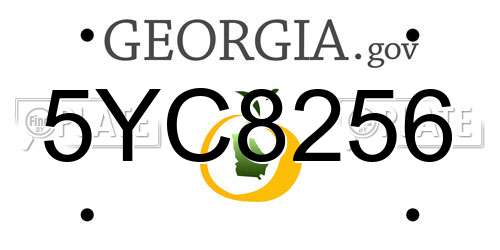 5YC8256 Georgia License Plate