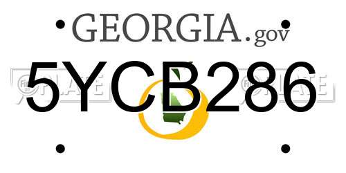 5YCB286 Georgia License Plate