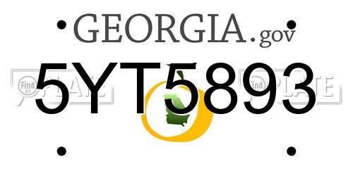 5YT5893 Georgia License Plate