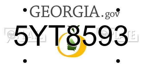 5YT8593 Georgia License Plate