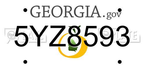5YZ8593 Georgia License Plate