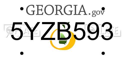 5YZB593 Georgia License Plate