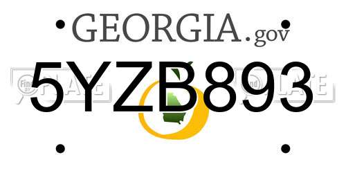 5YZB893 Georgia License Plate
