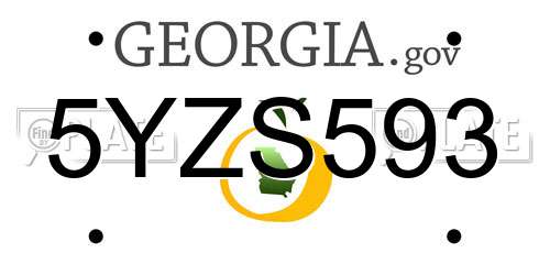 5YZS593 Georgia License Plate