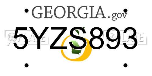 5YZS893 Georgia License Plate
