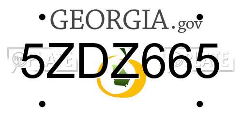 5ZDZ665 Georgia License Plate
