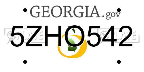 5ZHO542 Georgia License Plate