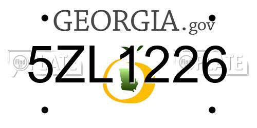 5ZL1226 Georgia License Plate