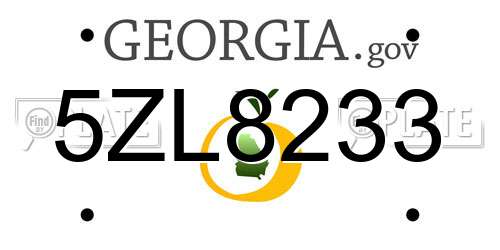5ZL8233 Georgia License Plate