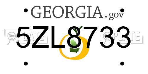5ZL8733 Georgia License Plate