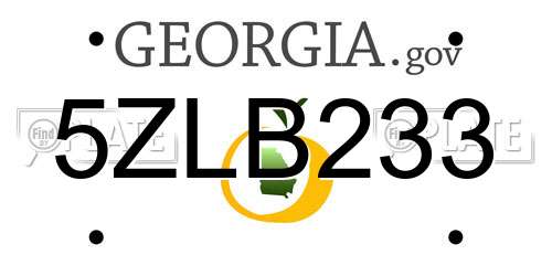 5ZLB233 Georgia License Plate