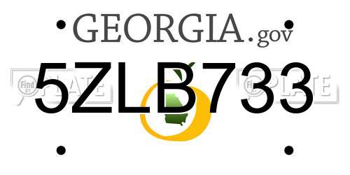 5ZLB733 Georgia License Plate
