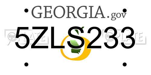 5ZLS233 Georgia License Plate