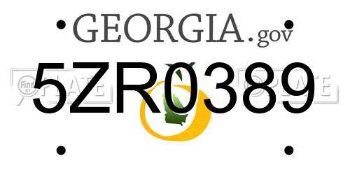 5ZR0389 Georgia License Plate