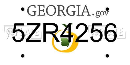 5ZR4256 Georgia License Plate