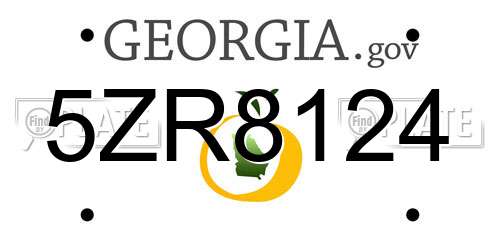 5ZR8124 Georgia License Plate